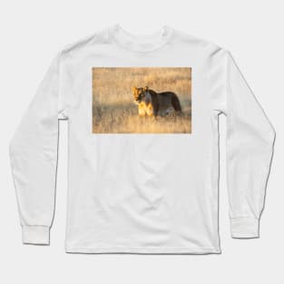 Lion in the grass. Long Sleeve T-Shirt